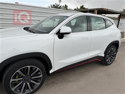 جيتور داشينج